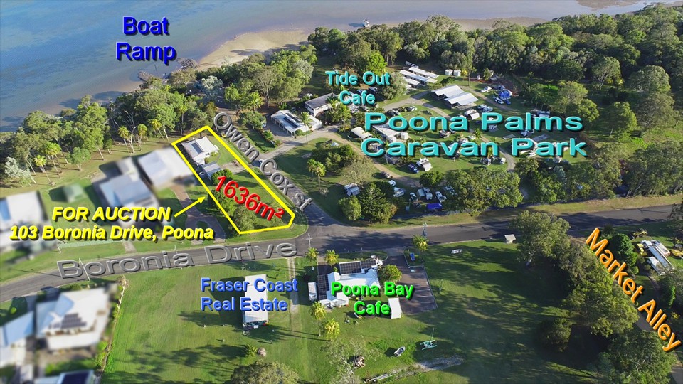 113boronia take 2 small