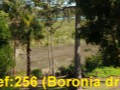 poo-256-02