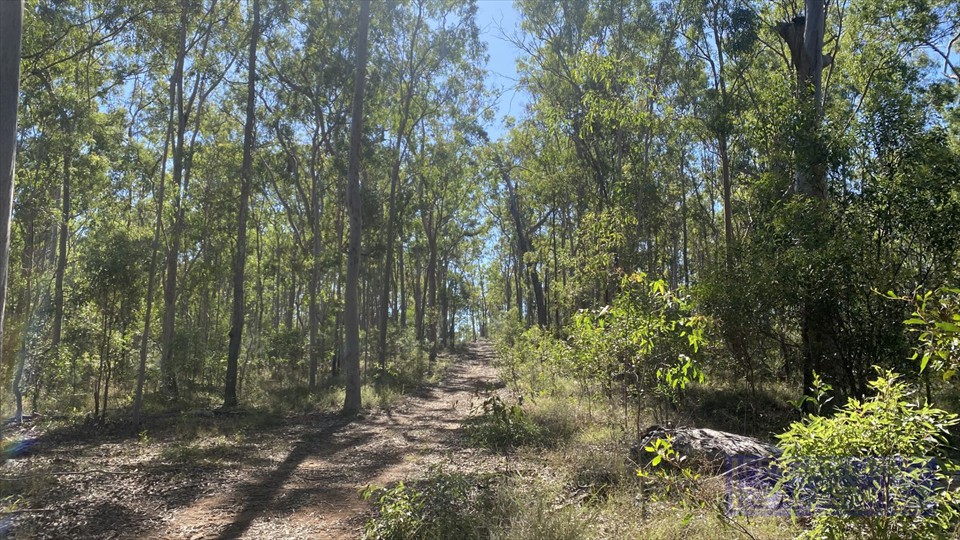 Fraser Coast Real Estate