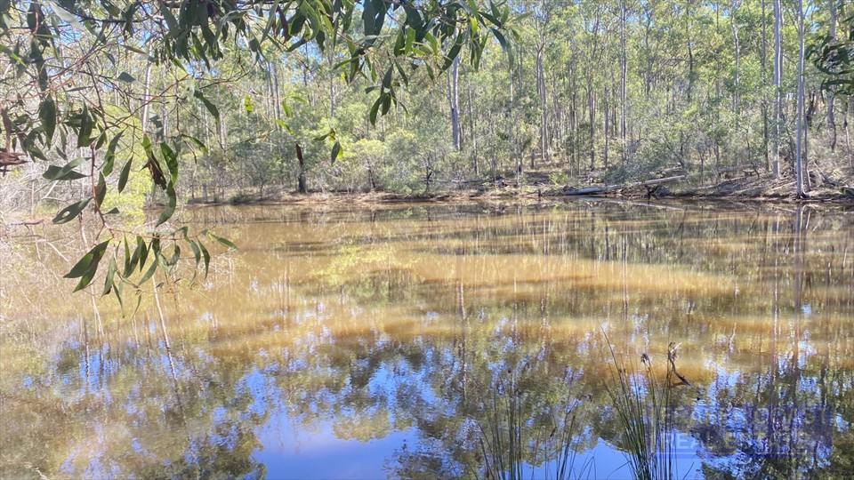 Fraser Coast Real Estate